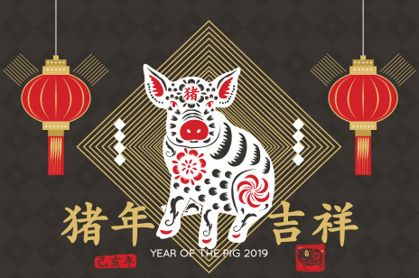 Horoskop chiński 2019 - Rok Świni. Co nam przyniesie?