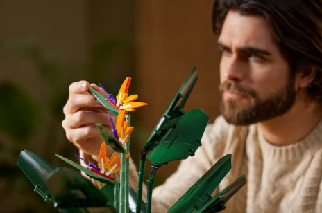 Rajski ptak (strelicja królewska) jako zestaw klocków LEGO