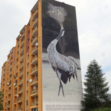 Ptasie Murale w Lubinie