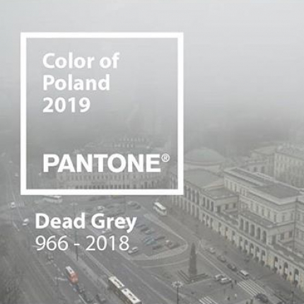 Dead Grey - kolor roku dla Polski według Przemka Puchalskiego