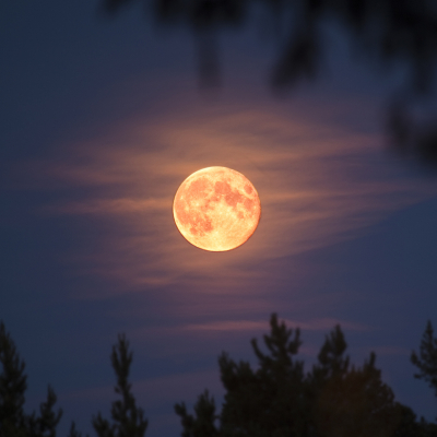 Jutro pełnia Księżyca w Lwie. Czego dotyczy, co wtedy zrobić i jak wpłynie na nasze emocje?