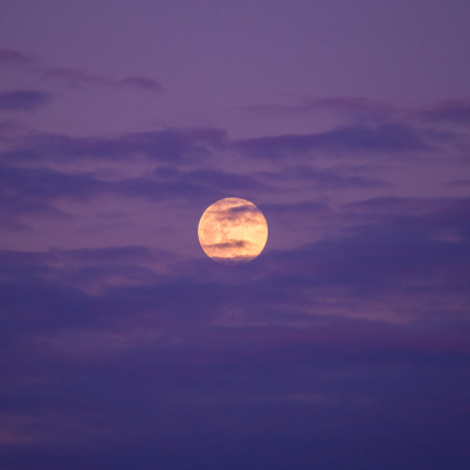 Zbliża się ostatnia pełnia tego lata. Będzie nią pełnia Księżyca w Rybach, która ma potężną moc spełniania marzeń. Jakie rytuały przeznaczyć na ten czas?