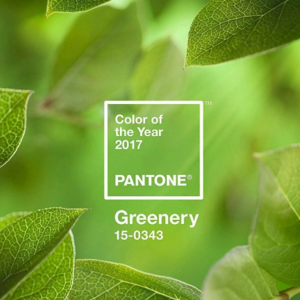 Pantone ujawnia barwę na 2017 rok. Poznaj kolor "greenery"