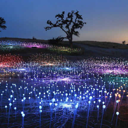 Field of Light w Sensorio w Paso Robles w Kalifornii, Bruce Munro