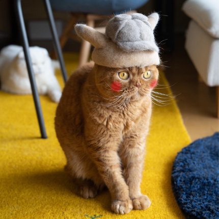 Czapeczki dla kotów, projekt: Ryo Yamazaki