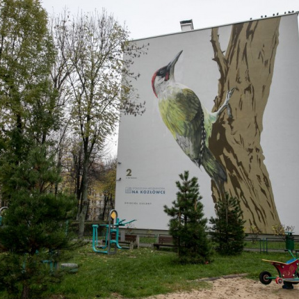ptasie-murale-autor-wojciech-rokosz_4