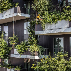 Leśne balkony w Mediolanie, fot. Boeri Studio_ Bosco Verticale