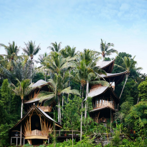 Dom wkomponowany w dżunglę, projekt: IBUKU