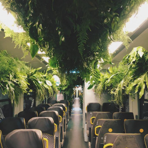"Zielony Pociąg" wypełniony roślinami