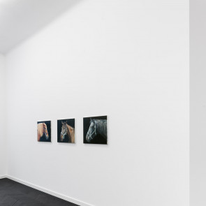 Daniel Rycharski, Umarła klasa, wystawa indywidualna w Gunia Nowik Gallery, 2022, widok wystawy.