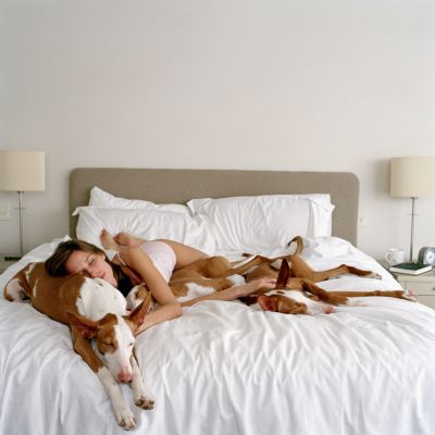 Lepiej spać z psem niż z drugą osobą. Poznajcie ostatnie badania