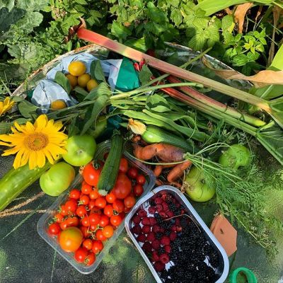 Własny ogródek warzywny