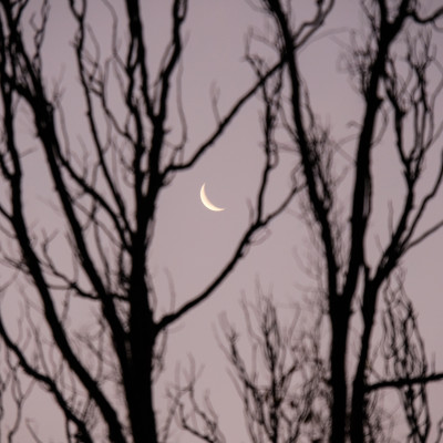 Fazy księżyca a sen: jak nów i pełnia Księżyca wpływają na sen?