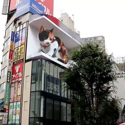 Kot w 3D na Shinjuku Cross