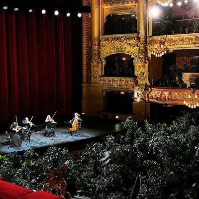 Opera w Barcelonie ponownie otwarta. Na pierwszym koncercie na widowni zasiadły… rośliny