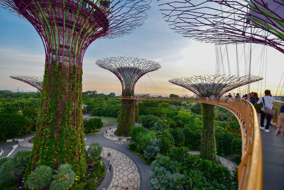 Ogrody nad Zatoką,  Gardens by the Bay, Singapur, fot. Shutterstock