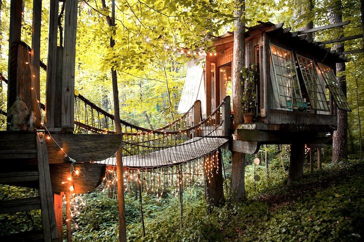 Domek na drzewie, hit Airbnb