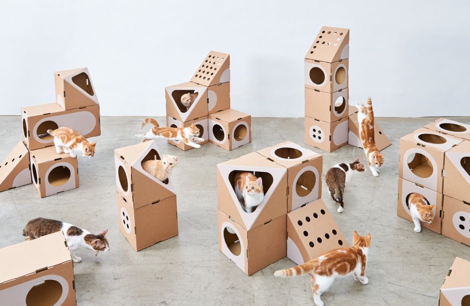 Domki dla kotów z kartonu
