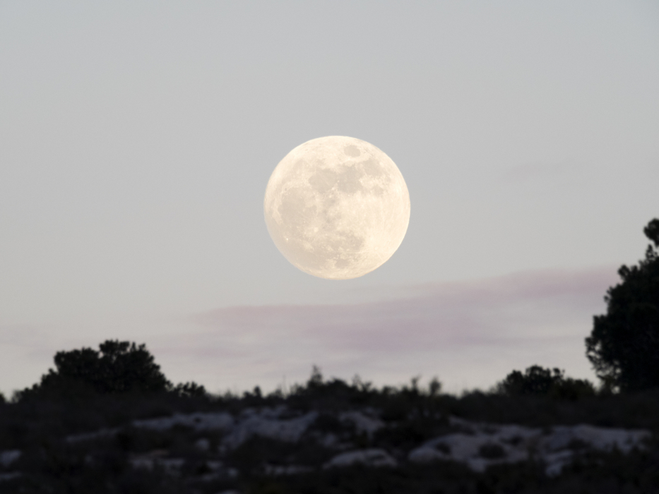 Lipcowa pełnia Księżyca i zaćmienie w Koziorożcu