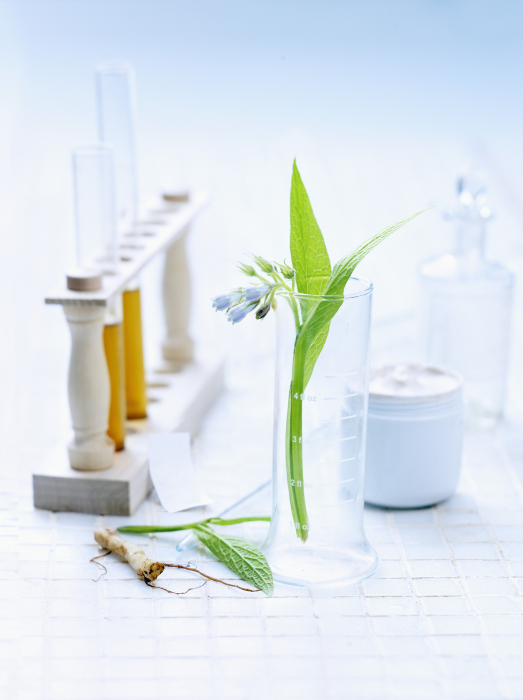 Olejek z ogórecznika – właściwości kosmetyczne i zastosowanie