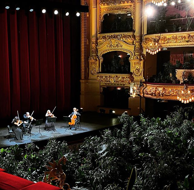 Opera w Barcelonie ponownie otwarta. Na pierwszym koncercie na widowni zasiadły… rośliny
