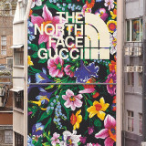 Murale The North Face x Gucci