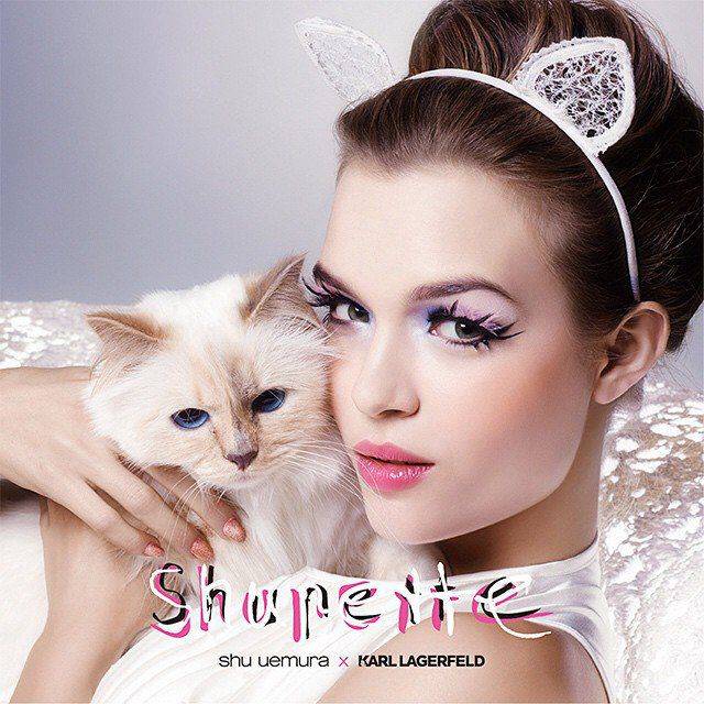 Słynna kotka Karla Lagerfelda, Choupette sygnuje swoim imieniem kolekcję kosmetyków Shu Uemura oraz linię toreb, bluz oraz t-shirtów Monster Choupette.