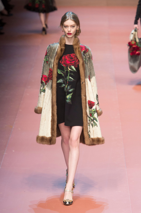 Dolce & Gabbana jesień-zima 2015/2016