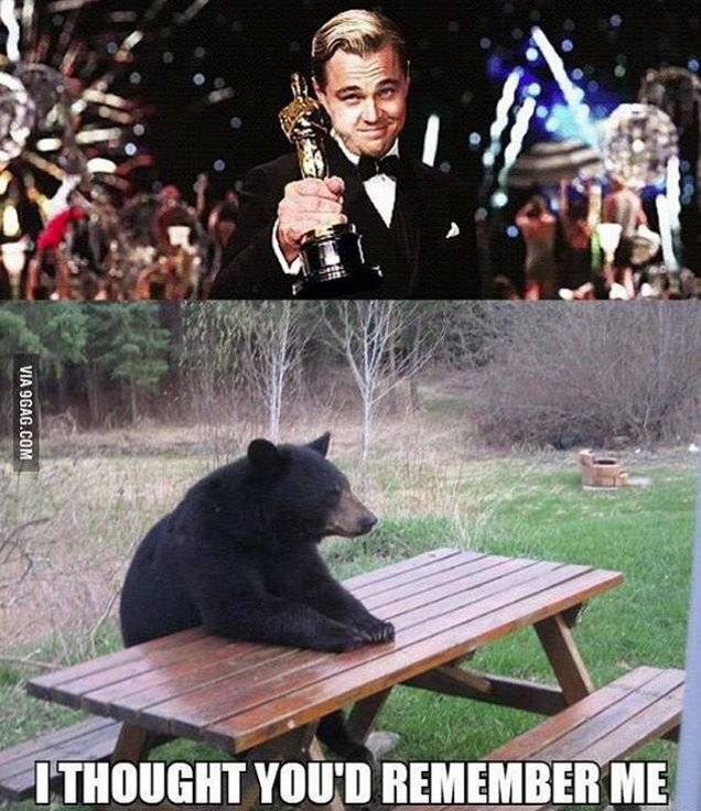 Oscary 2016: najlepsze memy z udziałem gwiazd