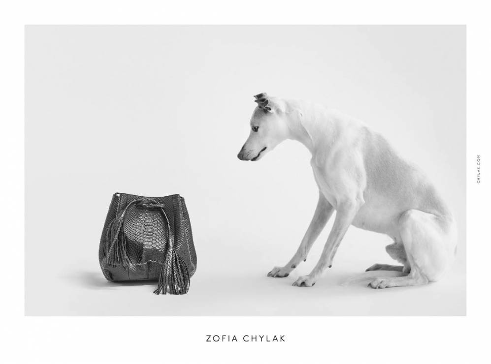 Kampania torebek Zofia Chylak 2016