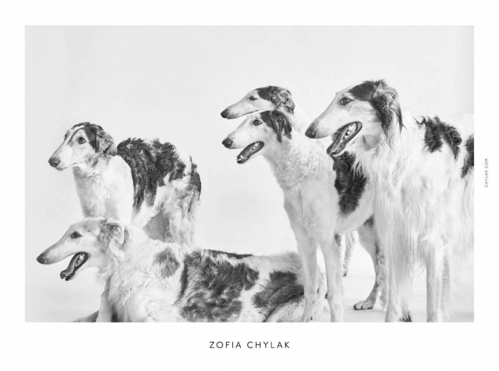 Kampania torebek Zofia Chylak 2016