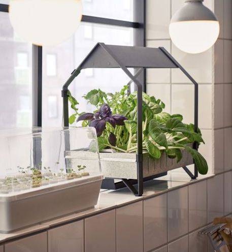 Nowy koncept IKEA: domowy ogródek