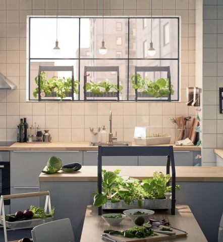 Nowy koncept IKEA: domowy ogródek