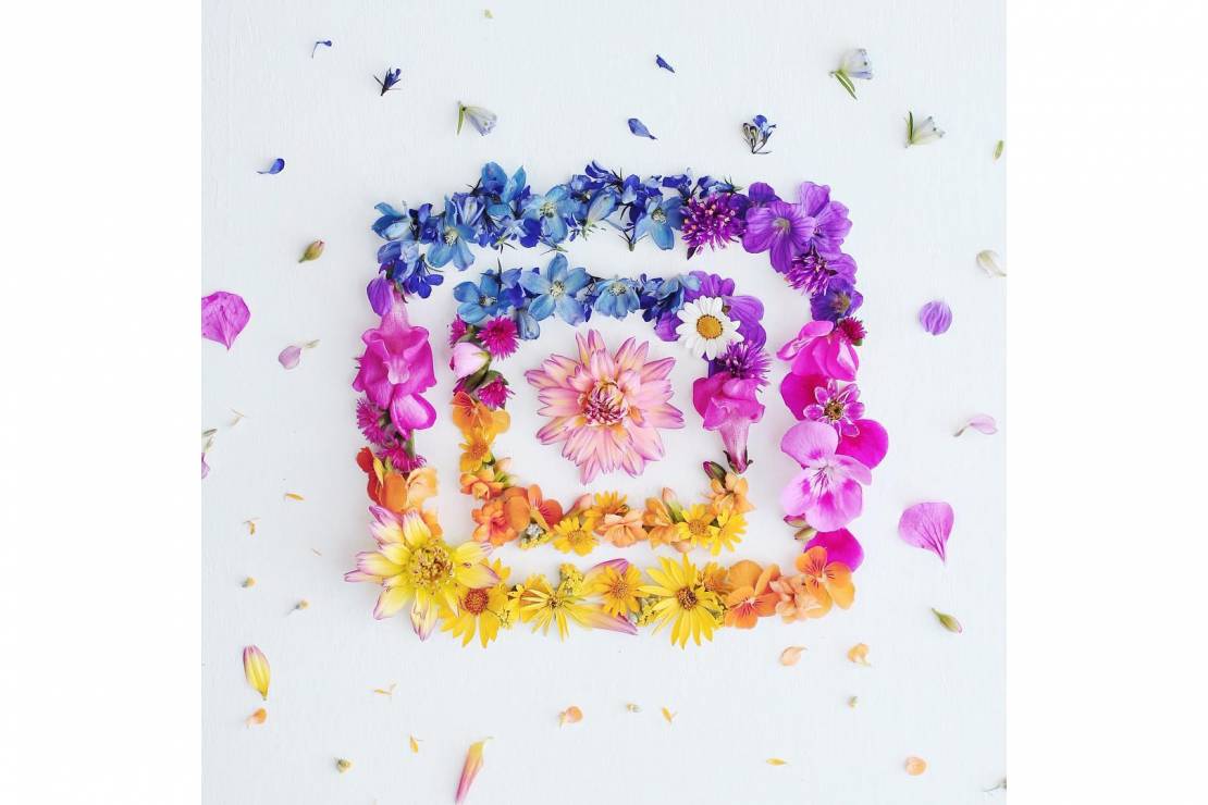 Nowe logo Instagrama - jak je widzą artyści?, fot. instagram runnerkimhall