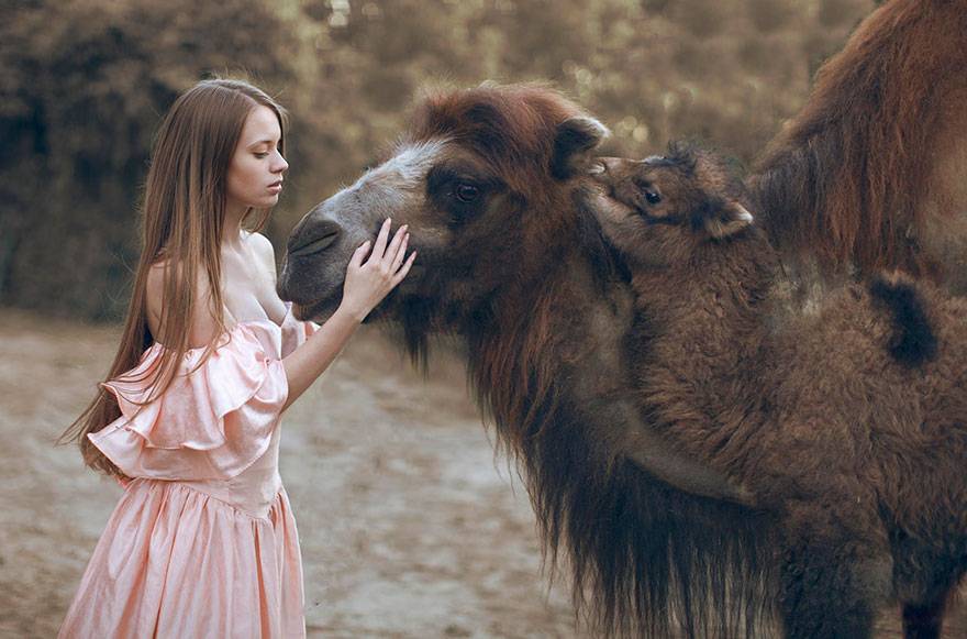 Katerina Plotnikova, baśniowe zdjęcia z dzikimi zwierzętami