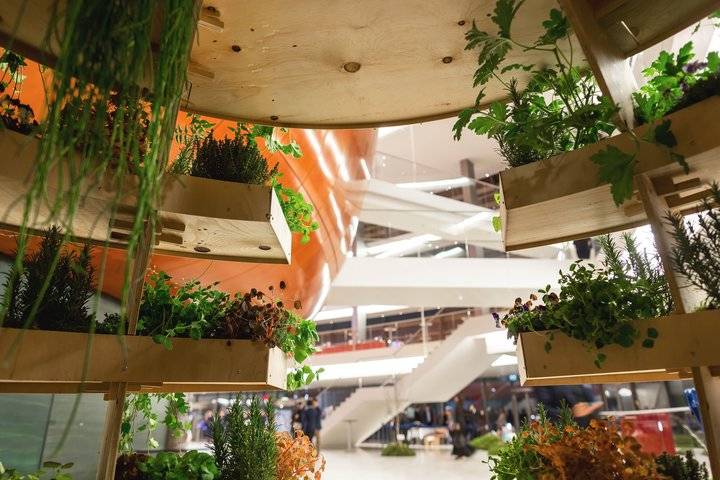 Ikea stworzyła miejskie ogrody, które wyżywią całe sąsiedztwa