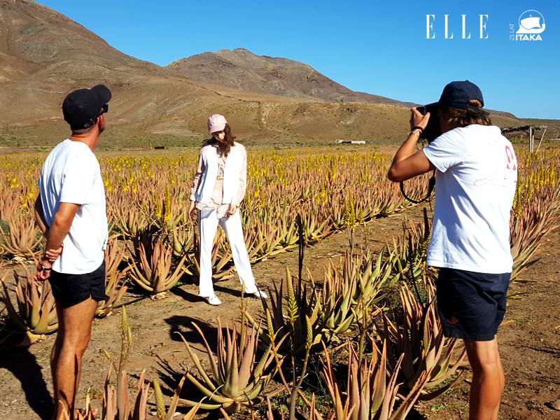Plantacja aloesu, jedna z wielu na wyspie, okazała się wyzwaniem dla fotografa i modelki.