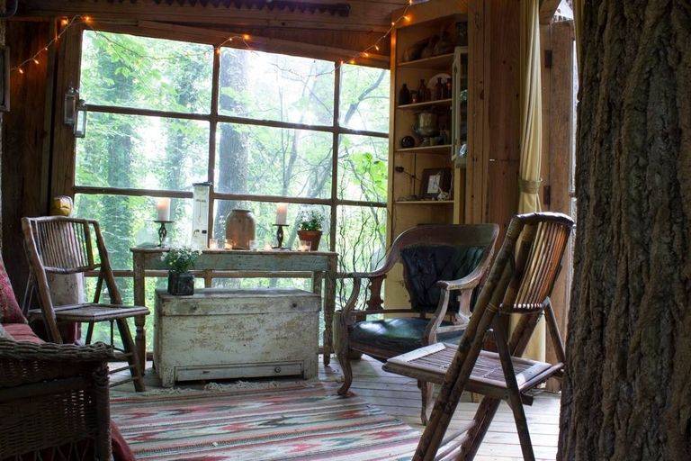 Domek na drzewie pod Atlantą, najpopularniejszy na Airbnb