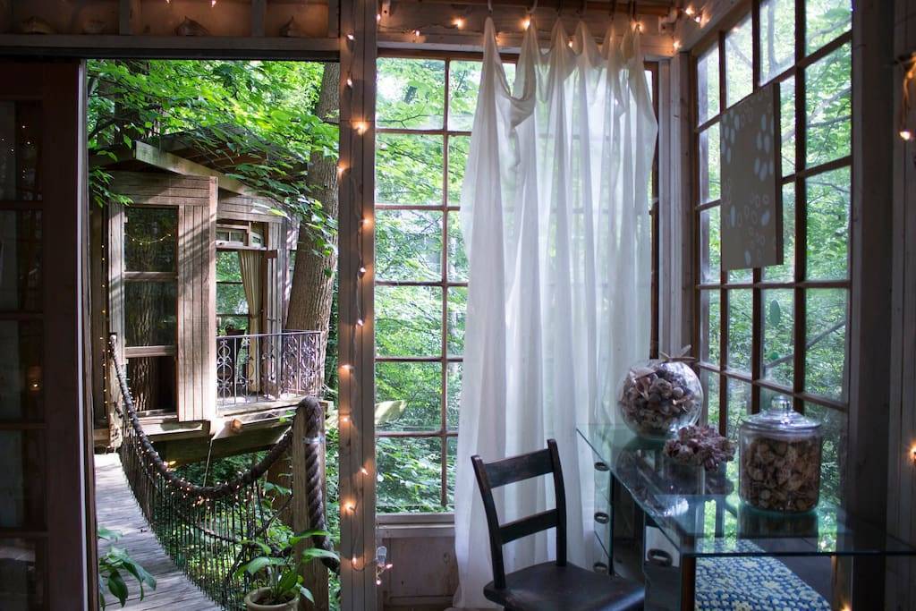 Popularny domek na drzewie z Airbnb