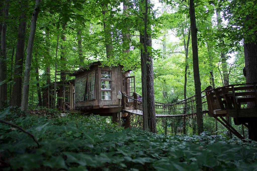 Domek, na drzewie, najpopularniejsza oferta Airbnb