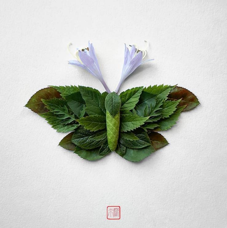Owady z kwiatów, autor: Raku Inoue, @reikan_creations