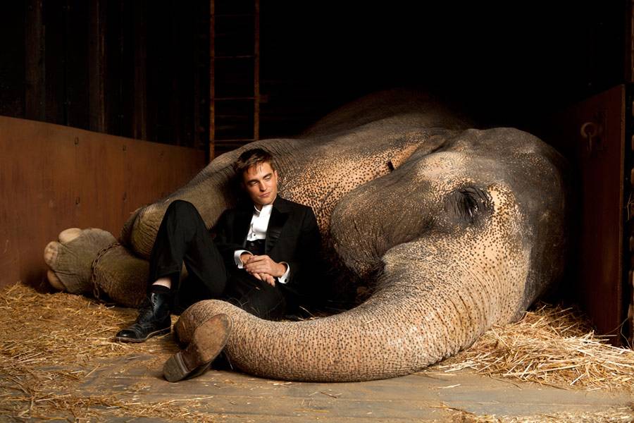 Robert Pattinson jako Jacob Jankowski w filmie "Woda dla słoni"
