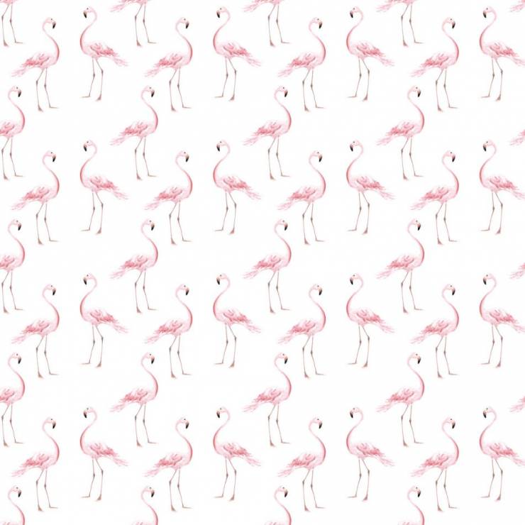 Tapeta z flamingami, Dekornik, 119 zł za metr kwadratowy