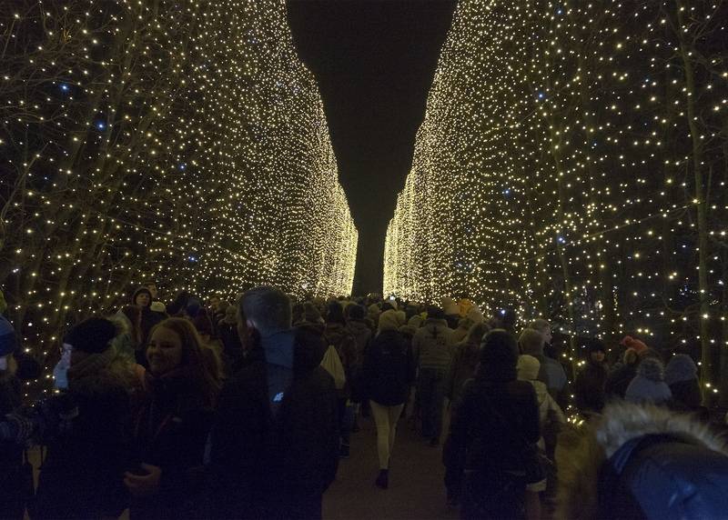 Iluminacja w Parku Oliwskim w Gdańsku, fot. East News