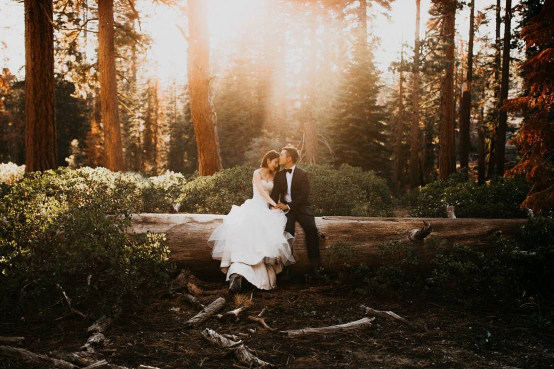 Zdjęcia ślubne: w lesie