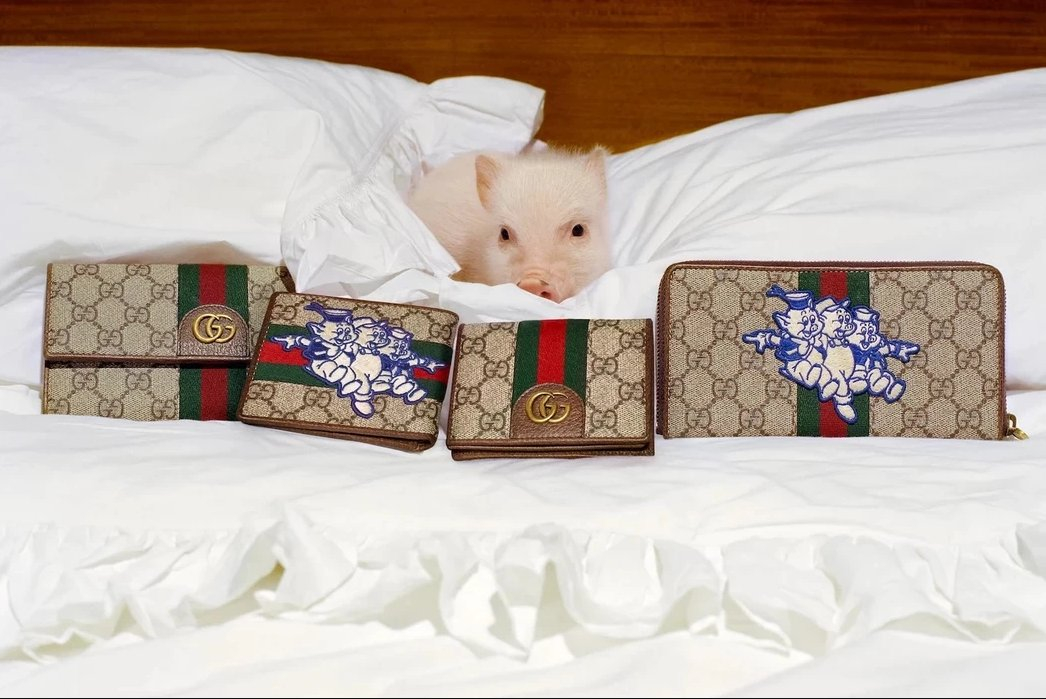 Świnki miniaturki w kampanii Gucci z okazji Chińskiego Nowego Roku