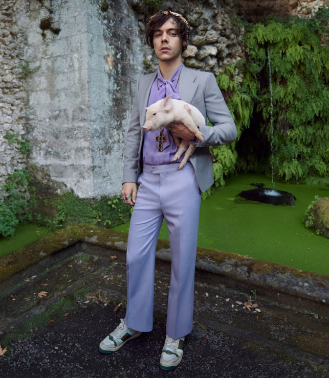 Harry Styles w kampanii Gucci
