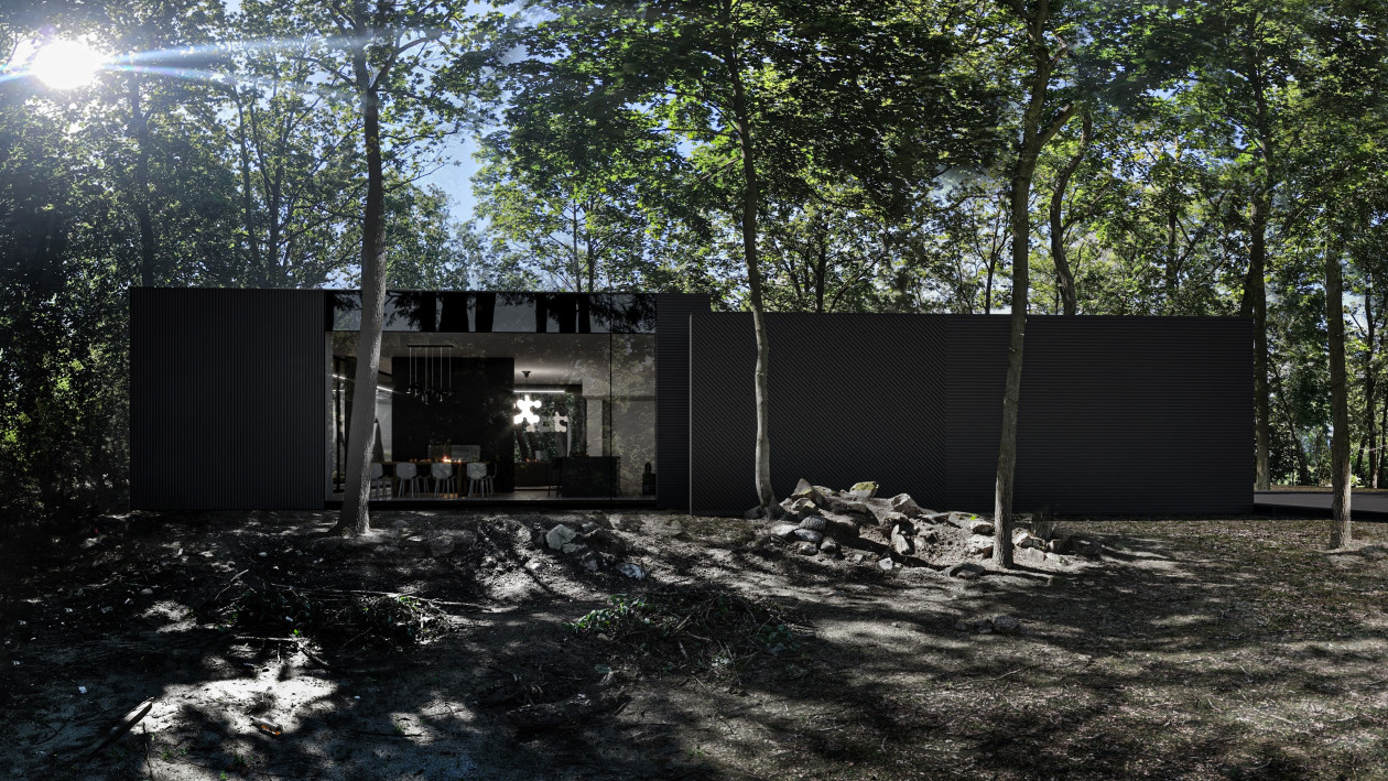RE: DARK HOUSE, projekt Marcin Tomaszewski, pracownia REFORM Architekt