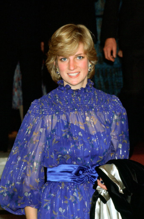 Księżna Diana, 1981 rok