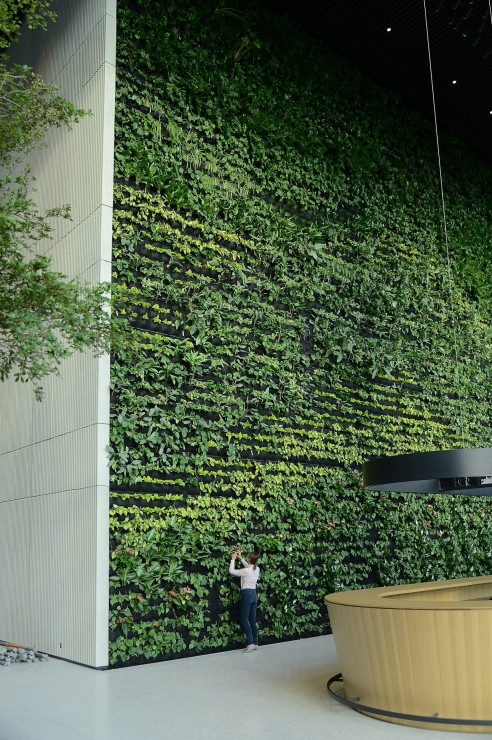 Największa zielona ściana w polskim biurowcu, Generation Park Y